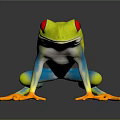 Vibrant Green Frog with Red Eyes Blue Stripes and Yellow Toes on Black Background