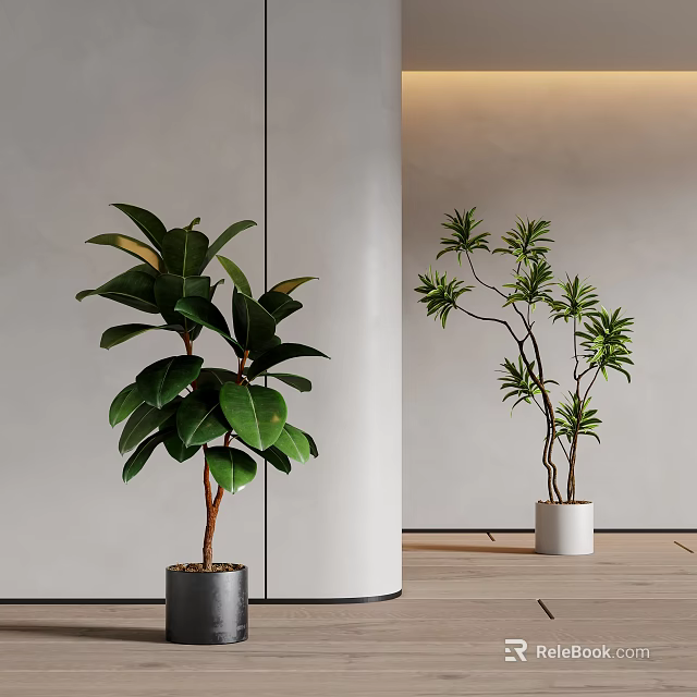 Modern Interior With Two Different Potted Plants Broad Leaves And Slender Branches In Simple Pots 3d model 