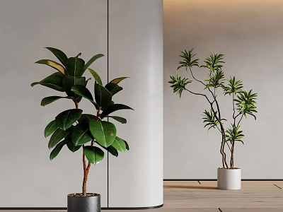 Modern Interior With Two Different Potted Plants Broad Leaves And Slender Branches In Simple Pots 3d model