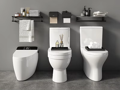 Different Types of White Toilet Designs with Wall Mounted Shelves and Bathroom Accessories 3d model