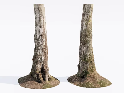 Stone Wood Tree Trunks Displaying Natural Roots And Earthy Base Structure 3d model