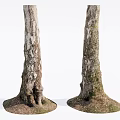 Stone Wood Tree Trunks Displaying Natural Roots And Earthy Base Structure 3d model