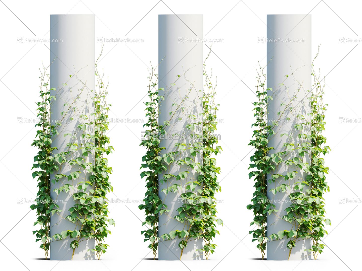 Modern Vine Vine Plant 3d model