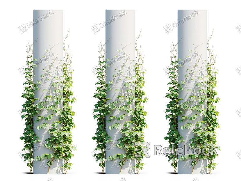 Modern Vine Vine Plant model