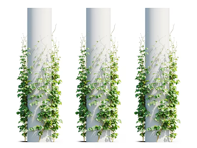 Green Leafy Vines Climbing On White Pillars For Decorative Vertical Garden Design 3d model