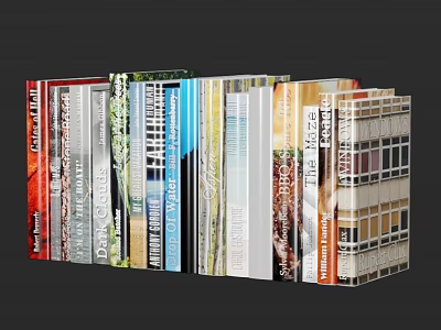Colorful Books And Magazines With Various Covers Neatly Arranged Different Themes 3d model