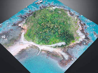 Tropical Island Garden Landscape With Lush Greenery And Sandy Beach Pathway 3d model