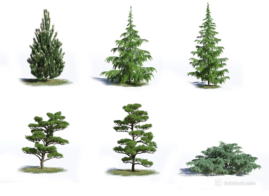 Various Types of Arbor Trees with Unique Evergreen Shapes and Foliage 3d model 