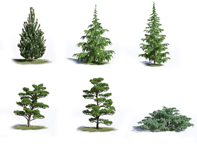 Various Types of Arbor Trees with Unique Evergreen Shapes and Foliage 3d model