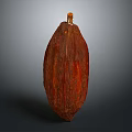 Fresh Reddish Brown Raw Cocoa Pod Natural Tropical Food Ingredient With Smooth Texture