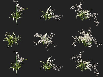 Tongue orchid flower shrub combination small grass flowers shrub flowers and plants combination model