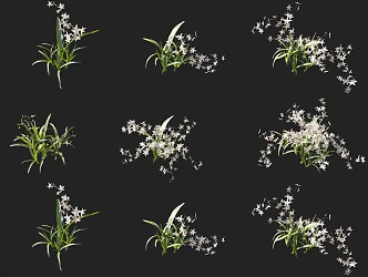 Tongue orchid flower shrub combination small grass flowers shrub flowers and plants combination 3d model