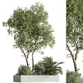 Modern tree green plant pile outdoor green plant plants flowers and plants outdoor landscape green plant green plant pond plant flower bed 3d model