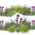 Mixed Plant Combination with Purple Flowers Green Grasses and White Blooms for Garden