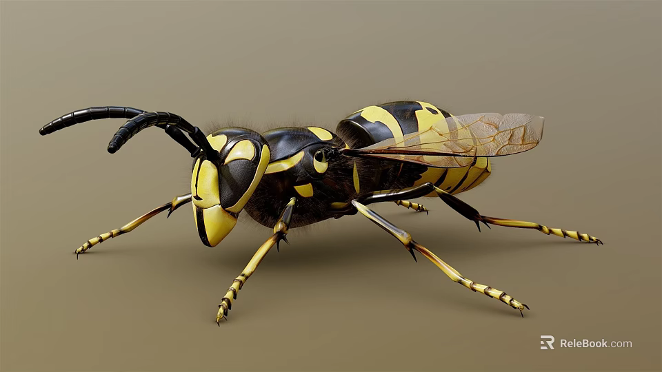 Detailed Close Up of Black and Yellow Striped Flying Insect with Transparent Wings 3d model 