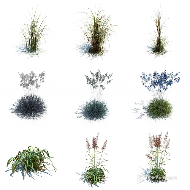 Diverse Ornamental Grasses And Herbal Plants With Blue Flowers And Green Foliage 3d model 