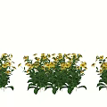Fresh Yellow Flowers Arranged in Vase with Green Leaves for Home Decor