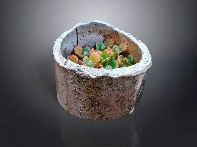 Succulent Plant Growing In Rustic Textured Stone Flower Pot With Green Pink Leaves 3d model