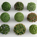 shrub hedge green belt plant combination shrub ball shrub flower box potted plant 3d model