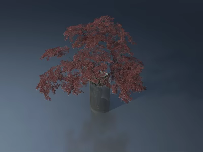 Modern Hinged Door Interior Decor With Transparent Vase And Red Maple Tree 3d model
