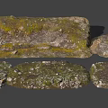 Modern ground real ground scanning 3d model