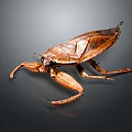 Giant Water Bug With Brown Exoskeleton And Large Forelegs In Macro Photography