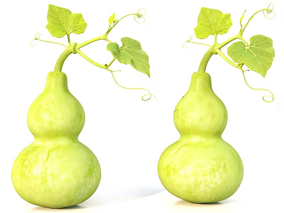Two Fresh Green Gourds With Green Vines And Leaves On White Background 3d model