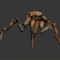 Giant Spider Creature 3D Render With Detailed Mechanical Legs And Orange Brown Exoskeleton