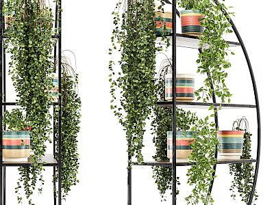 Stylish Garden Decor With Hanging Green Plants And Colorful Planters On Black Metal Shelves 3d model