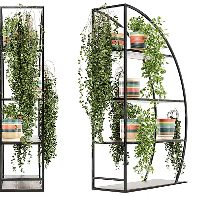 Stylish Garden Decor With Hanging Green Plants And Colorful Planters On Black Metal Shelves 3d model