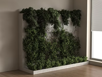 Green Vines Growing On White Frame In Indoor Space With Window Blinds And Wooden Floor 3d model