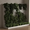 Green Vines Growing On White Frame In Indoor Space With Window Blinds And Wooden Floor