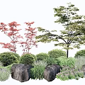 Garden Shrubs with Red Maple Trees Green Foliage Rocks and Grasses