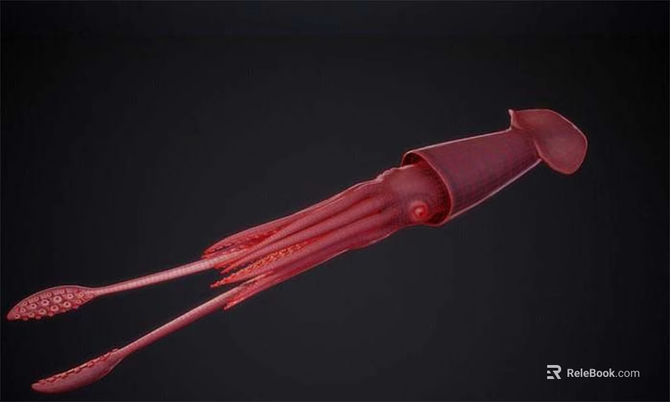 Red Aquatic Squid Undersea Creature With Long Tentacles Detailed Marine View 3d model 