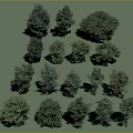 Diverse Arbor Tree Varieties With Different Shapes And Natural Shadows Collection 3d model