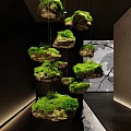 Hanging Rocks with Green Plants and Decorative Tree Branch Backdrop in Modern Interior