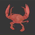 Isolated Realistic Orange Crab With Large Claws Standing In Detailed Pose On Dark Background