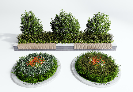 Modern shrubs Shrubs Greening flower beds 3d model