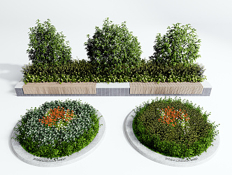 Modern shrubs Shrubs Greening flower beds 3d model