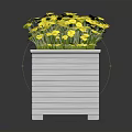 White Square Planter Box With Striped Design And Yellow Flowers
