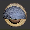 Fresh Ripe Avocado Halved with Visible Seed on Wooden Base Stand
