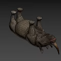 Realistic 3D Rhinoceros Model With Detailed Skin Texture And Horns