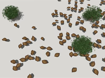 Green Bushes With Scattered Brown Leaves And Natural Foliage On White Background 3d model