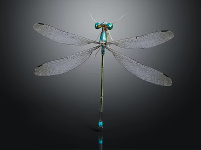Detailed Dragonfly With Transparent Wings Blue Eyes And Slender Body On Dark Background 3d model