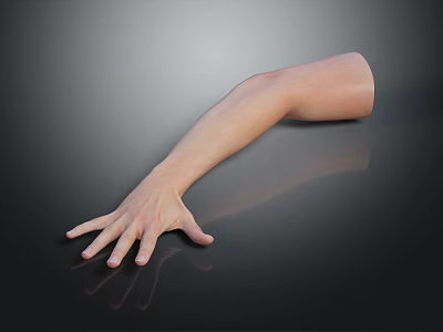 Realistic Human Arm And Hand Display On Black Reflective Surface With Gray Background 3d model