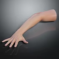 Realistic Human Arm And Hand Display On Black Reflective Surface With Gray Background 3d model