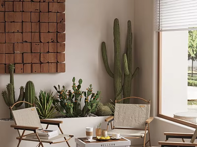 Outdoor Chairs With Cacti Succulents Wooden Panel And Side Table Near Window 3d model