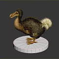 Dodo Bird Model With Detailed Feathers Standing On White Circular Base 3d model