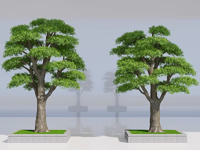 Lush Green Trees With Thick Trunks On Square Stone Bases And Grass Lawn 3d model