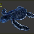 Cute Blue Green Hatchling Sea Turtle With Patterned Shell And Flippers On Dark Background 3d model